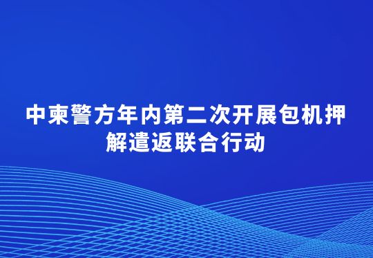 中柬警方年內第二次開展包機押解遣返聯(lián)合行動  首批240名中國籍涉賭詐違法犯罪嫌疑人被從柬埔寨押解回國
